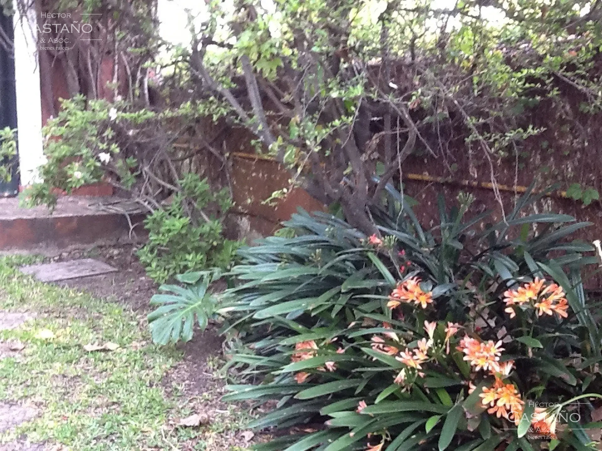 Casa desarrollada en 2 plantas 6 ambientes. Jardín al frente y patio lateral. 3 dormitorios,